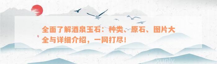 全面了解酒泉玉石：种类、原石、图片大全与详细介绍，一网打尽！