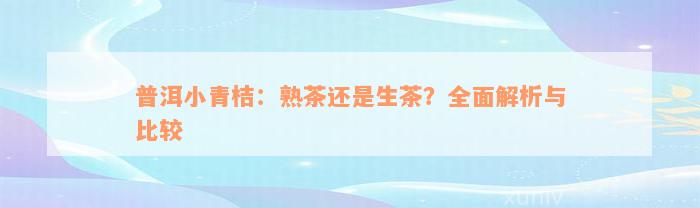 普洱小青桔：熟茶还是生茶？全面解析与比较