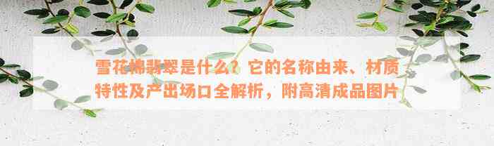 雪花棉翡翠是什么？它的名称由来、材质特性及产出场口全解析，附高清成品图片