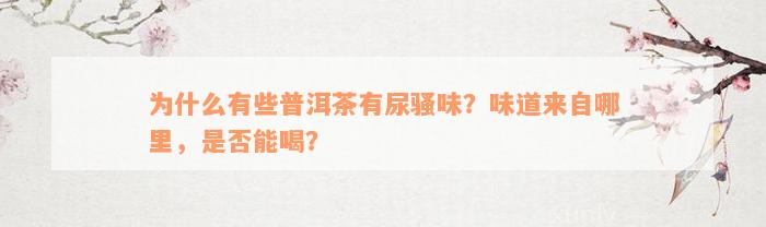 为什么有些普洱茶有尿骚味？味道来自哪里，是否能喝？