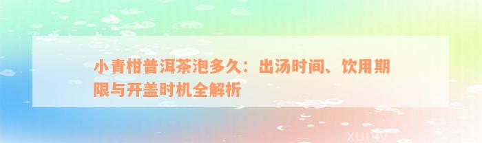 小青柑普洱茶泡多久：出汤时间、饮用期限与开盖时机全解析