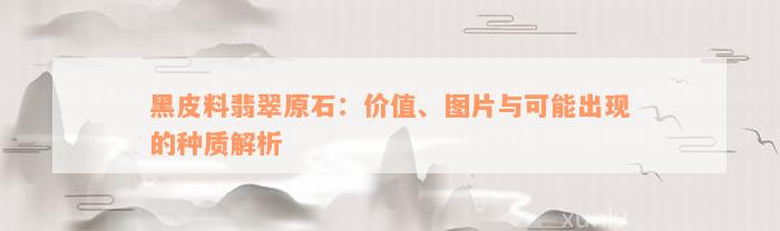 黑皮料翡翠原石：价值、图片与可能出现的种质解析