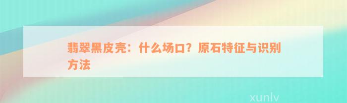 翡翠黑皮壳：什么场口？原石特征与识别方法