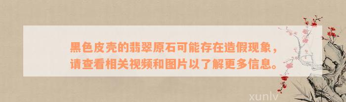 黑色皮壳的翡翠原石可能存在造假现象，请查看相关视频和图片以了解更多信息。