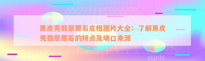 黑皮壳翡翠原石皮相图片大全：了解黑皮壳翡翠原石的特点及场口来源