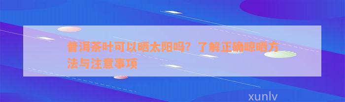 普洱茶叶可以晒太阳吗？了解正确晾晒方法与注意事项