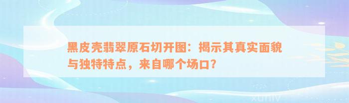 黑皮壳翡翠原石切开图：揭示其真实面貌与独特特点，来自哪个场口？