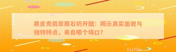 黑皮壳翡翠原石切开图：揭示真实面貌与独特特点，来自哪个场口？