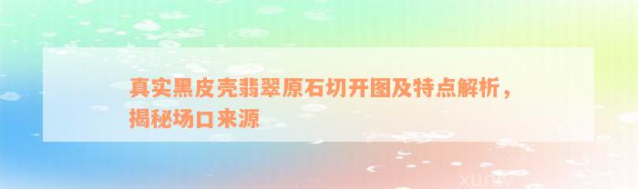 真实黑皮壳翡翠原石切开图及特点解析，揭秘场口来源