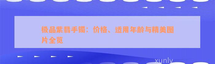 极品紫翡手镯：价格、适用年龄与精美图片全览