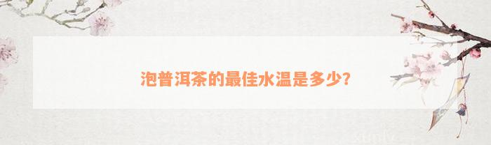 泡普洱茶的最佳水温是多少？