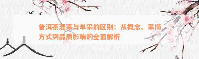 普洱茶混采与单采的区别：从概念、采摘方式到品质影响的全面解析