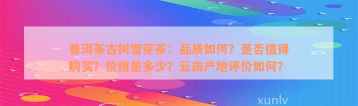 普洱茶古树雪芽茶：品质如何？是否值得购买？价格是多少？云南产地评价如何？