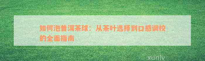 如何泡普洱茶球：从茶叶选择到口感调校的全面指南