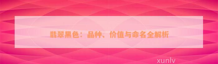 翡翠黑色：品种、价值与命名全解析