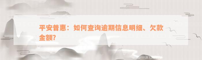 平安普惠：如何查询逾期信息明细、欠款金额？