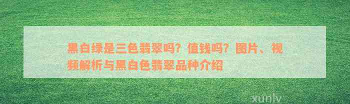 黑白绿是三色翡翠吗？值钱吗？图片、视频解析与黑白色翡翠品种介绍