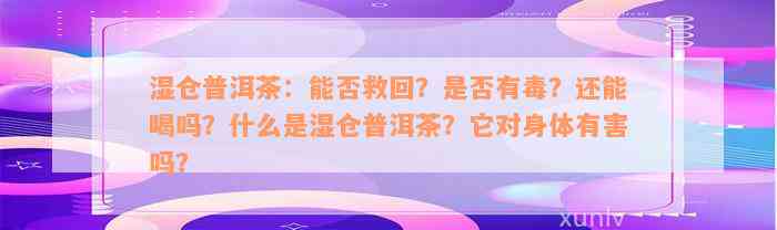 湿仓普洱茶：能否救回？是否有毒？还能喝吗？什么是湿仓普洱茶？它对身体有害吗？