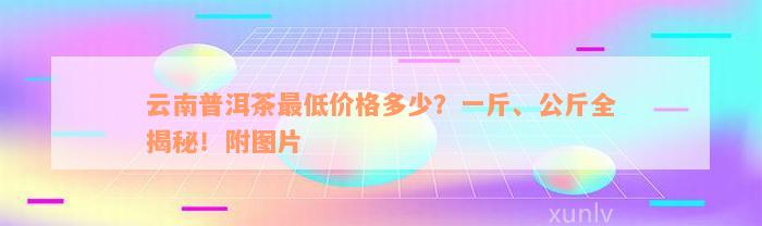 云南普洱茶最低价格多少？一斤、公斤全揭秘！附图片