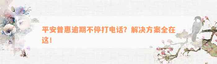 平安普惠逾期不停打电话？解决方案全在这！