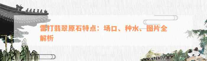 雷打翡翠原石特点：场口、种水、图片全解析