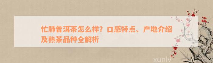 忙肺普洱茶怎么样？口感特点、产地介绍及熟茶品种全解析