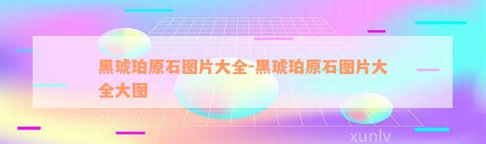 黑琥珀原石图片大全-黑琥珀原石图片大全大图