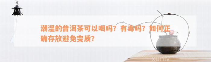 潮湿的普洱茶可以喝吗？有毒吗？如何正确存放避免变质？