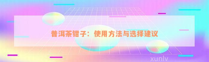 普洱茶钳子：使用方法与选择建议