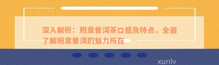 深入解析：班章普洱茶口感及特点，全面了解班章普洱的魅力所在