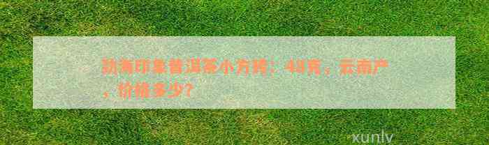 劲海印象普洱茶小方砖：48克，云南产，价格多少？